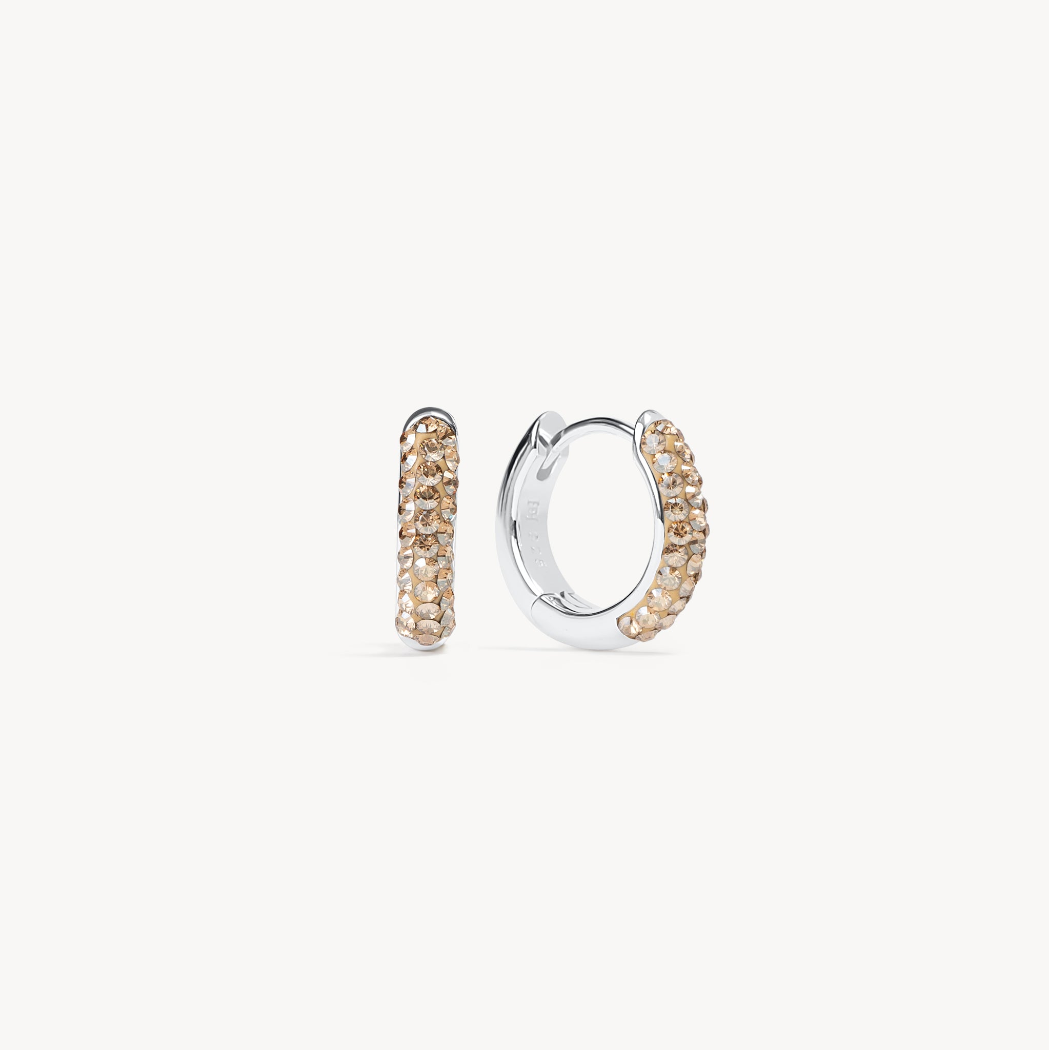 November Birthstone Always On Hoop Earrings