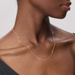 10k Dainty Wheat Chain on model