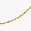 10k Dainty Wheat Chain