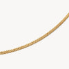 10k Dainty Wheat Chain