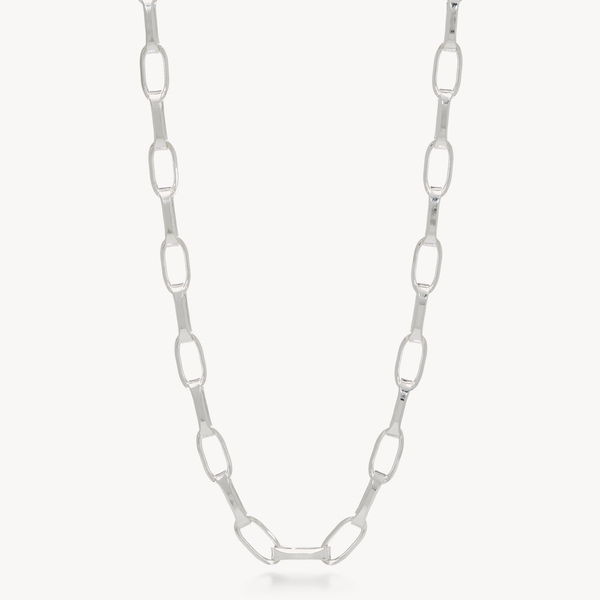 Icon Clip Chain Necklace | Hillberg & Berk