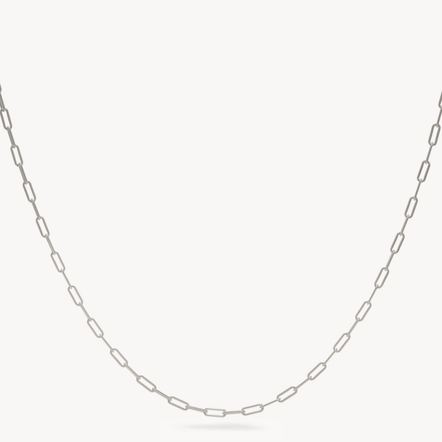 Essential Clip Chain Necklace Silver