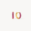 Rose Always On Sparkle Hoop Earrings