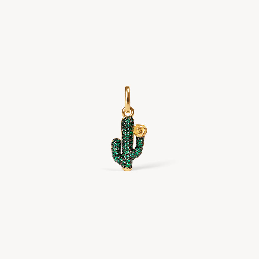 Cactus Charm