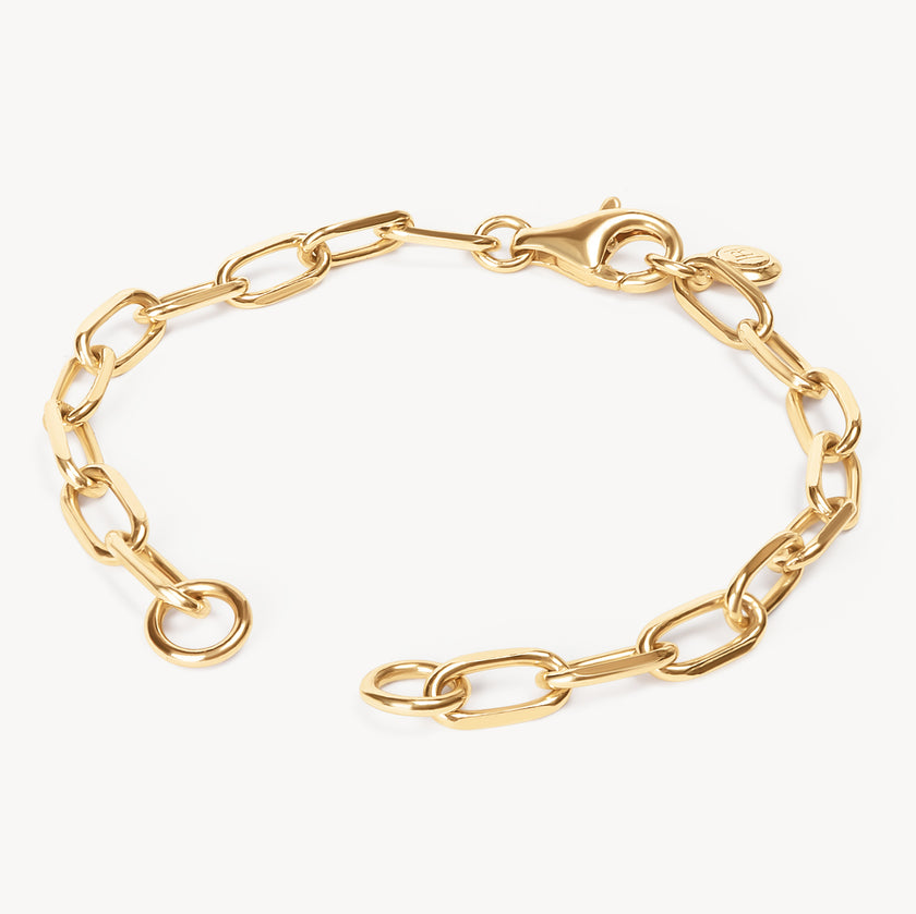 Clip Chain Charm Bracelet Base Hillberg Berk - Main Image