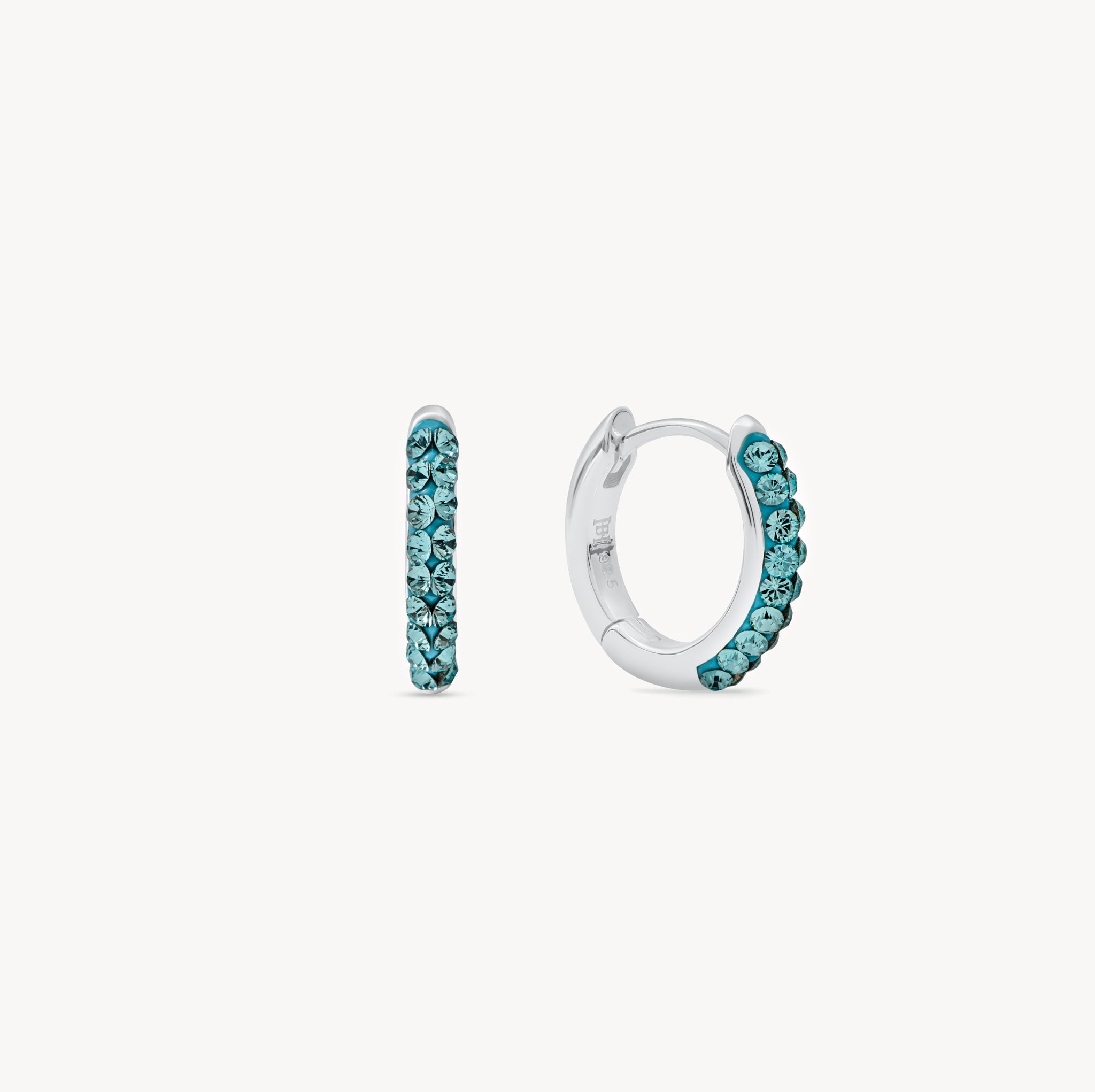 December Birthstone Sparkle Hoops