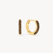 Espresso Sparkle Hoop Earrings