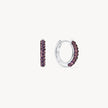 February Birthstone Sparkle Hoops