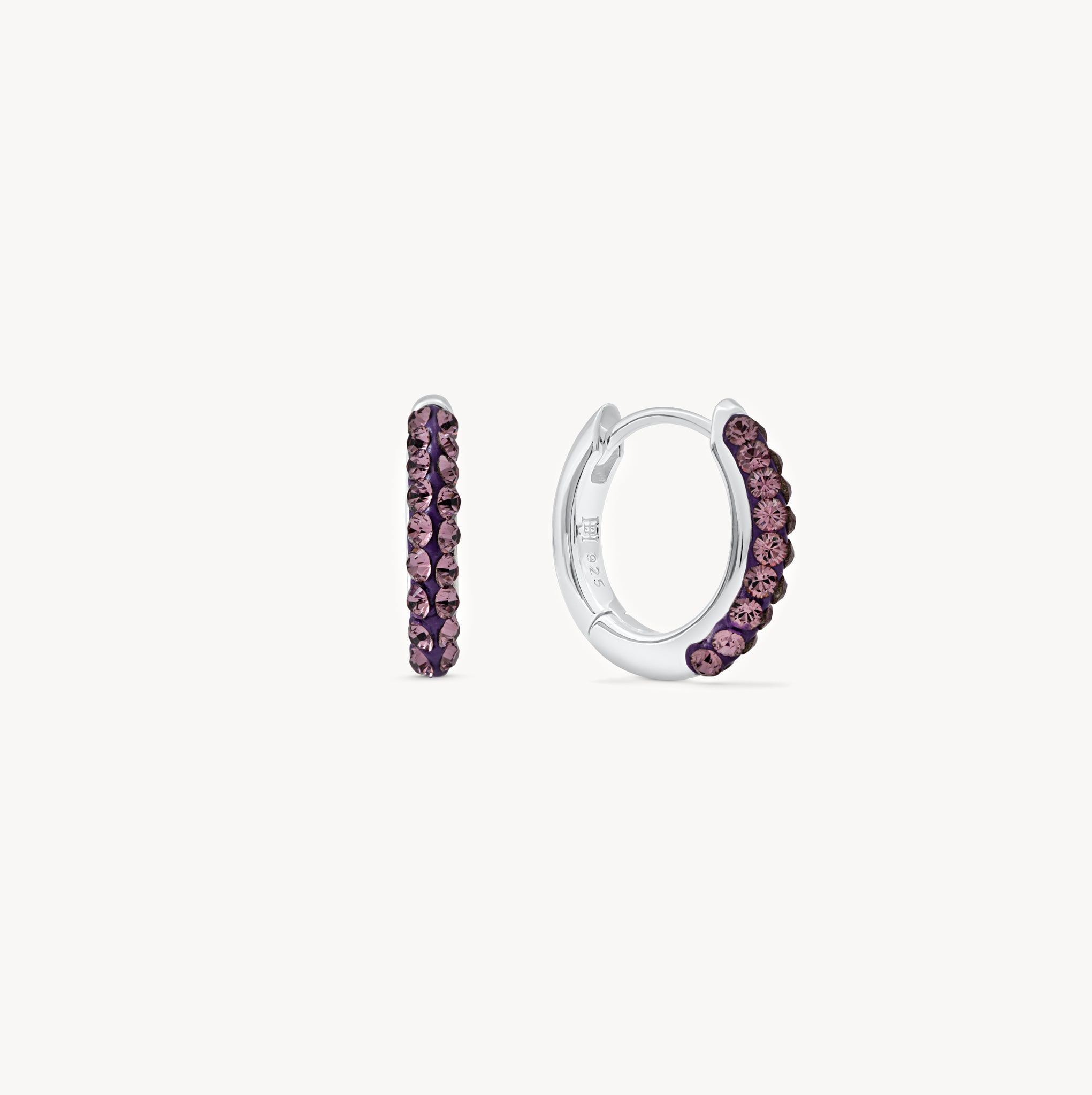 February Birthstone Sparkle Hoops