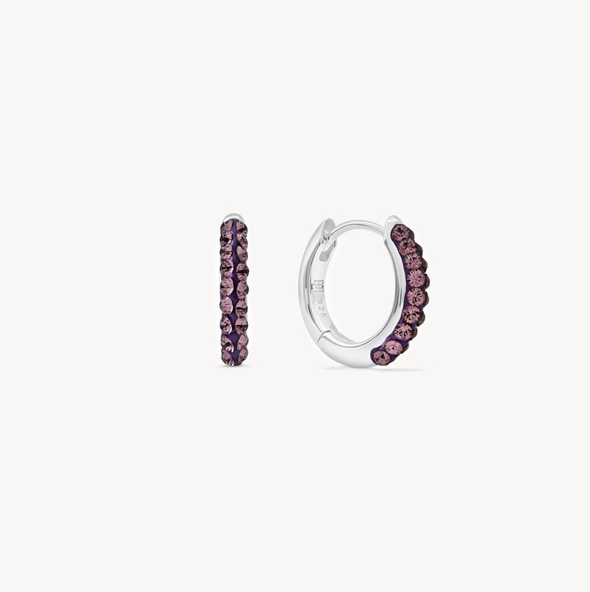 February Birthstone Sparkle Hoops