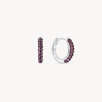February Birthstone Sparkle Hoop Earrings