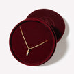Birthstone Baguette Necklace in packaging
