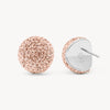 Rose Gold Icon Sparkle Stud Earrings
