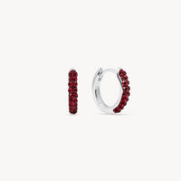 January Birthstone Sparkle Hoop Earrings