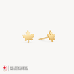 Maple Leaf Stud Earrings in Gold