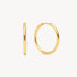 Gold Medium Hoop Earrings