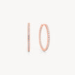 Rose Gold Medium Pavé Hoop Earrings