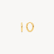 Gold Mini Hoop Earrings