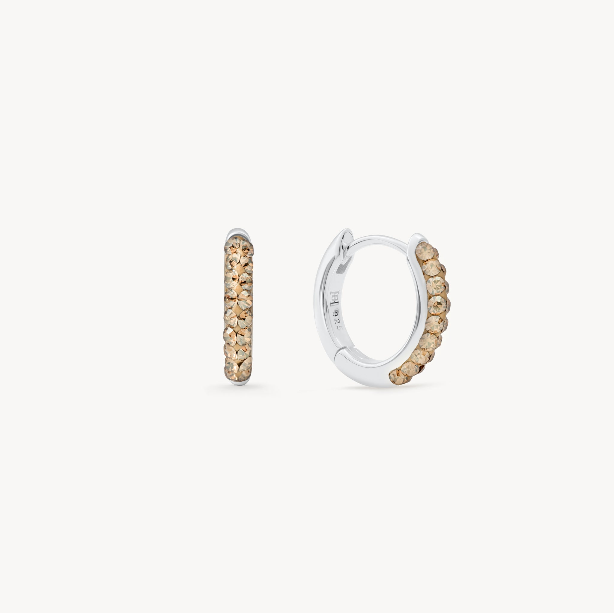 November Birthstone Sparkle Hoops