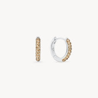November Birthstone Sparkle Hoop Earrings