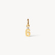 Gold Number Charm 6