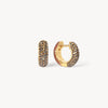 Desert Rose & Sand Dunes Sparkle Reversible Hoop Earrings Sand Dunes side