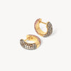 Desert Rose & Sand Dunes Sparkle Reversible Hoop Earrings