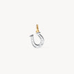 Reversible Horseshoe Charm