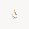 Reversible Horseshoe Charm