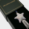 Shooting Star Ornament