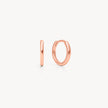 Rose Gold Small Hoop Earrings