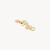 Lizard Charm laying flat