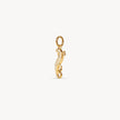Lizard Charm angled