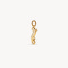 Lizard Charm angled