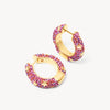Wildflower Star Studded Medium Sparkle Hoop Earrings