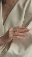 Jupiter Ring video on model