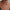 10k Singapore Chain video
